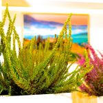 PsychoMedic.pl: poradnia psychologiczno psychiatryczna